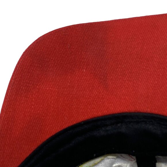 Dale Earnhardt #3 Peter Max Hat Snap Back Shark Tooth 90's NASCAR Goodwrench - Picture 8 of 11